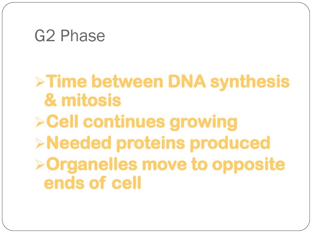 ppt download Biology Diagrams