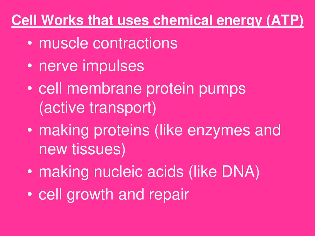 Cell Works that uses chemical energy (ATP)