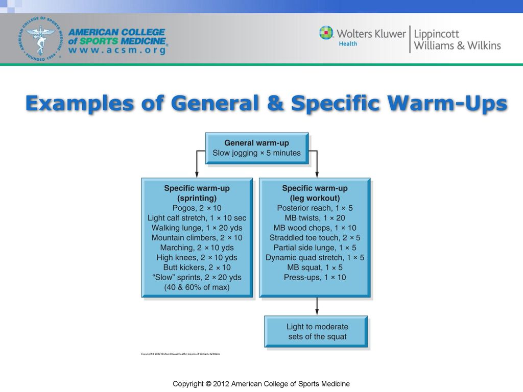 Chapter 10 Warm Up And Flexibility Ppt Download Chapter 10 Warm Up And Flexibility Ppt Download