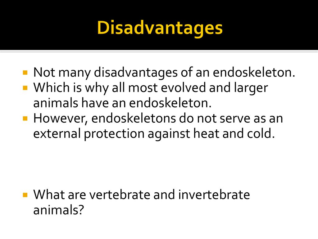 Support systems in animals ppt download