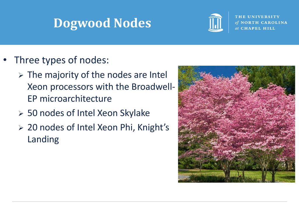Dogwood Nodes Three types of nodes: