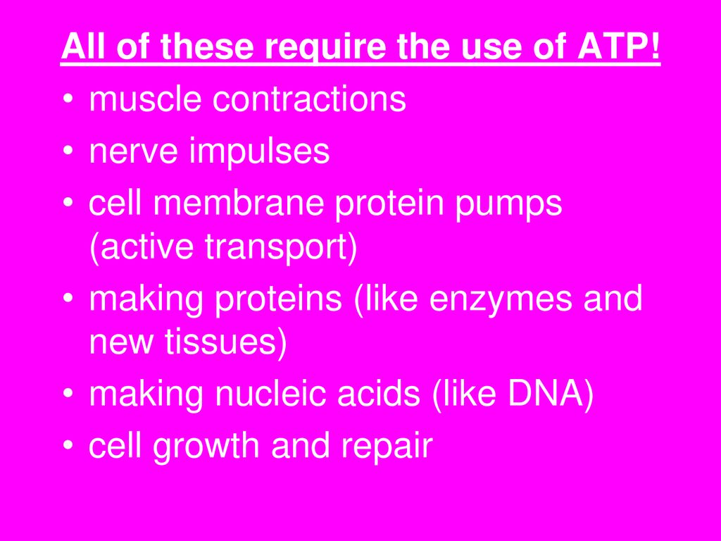 All of these require the use of ATP!