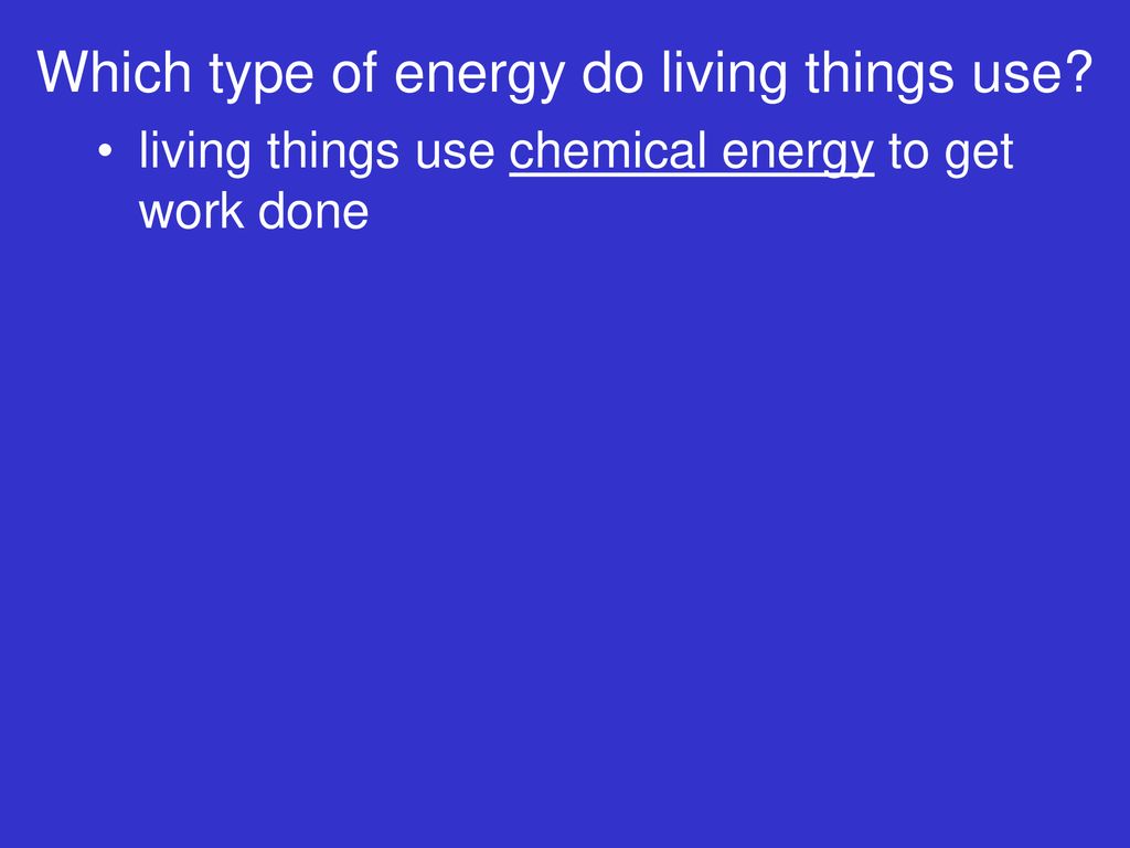 Which type of energy do living things use