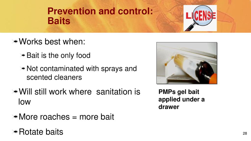 IPM in Multifamily Housing Training - ppt download