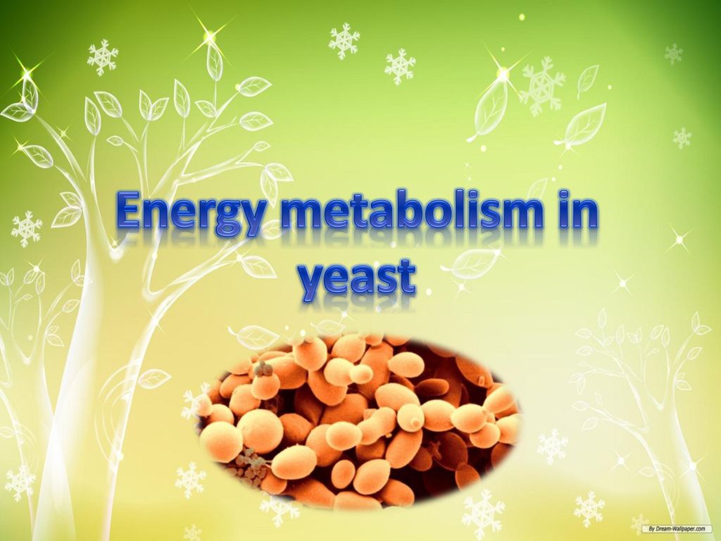 Energy metabolism in yeast