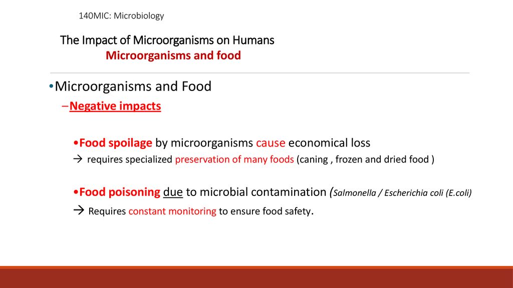 The Impact of Microorganisms on Humans Microorganisms and food