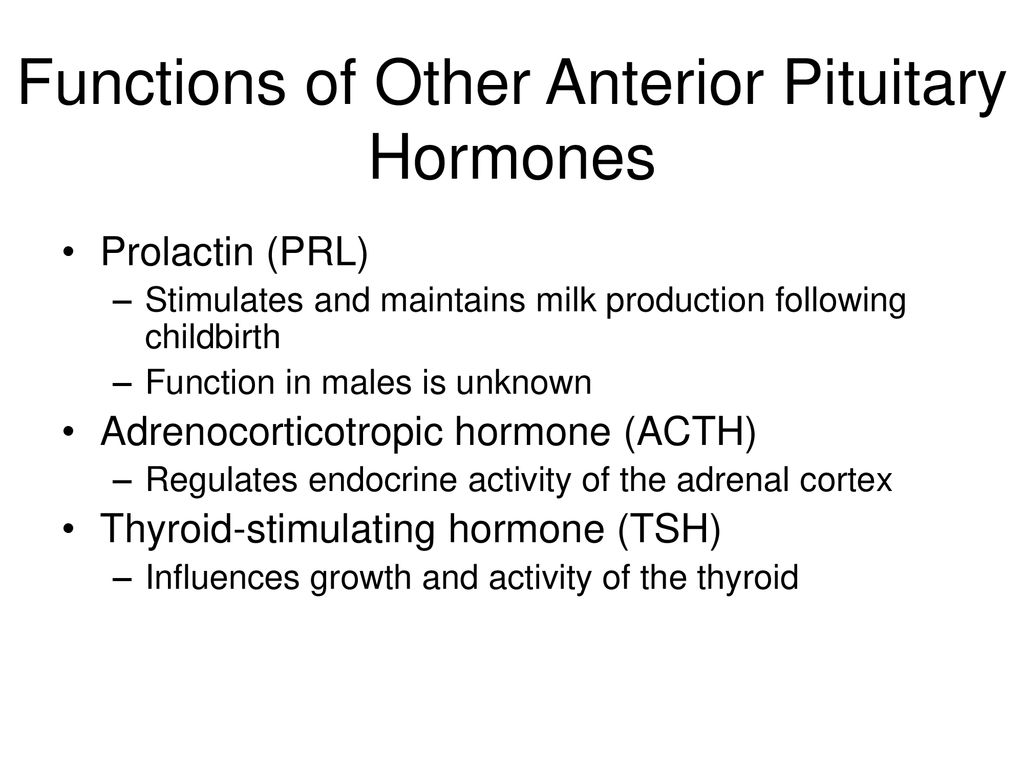 The Endocrine System Second messenger system of the body - ppt download