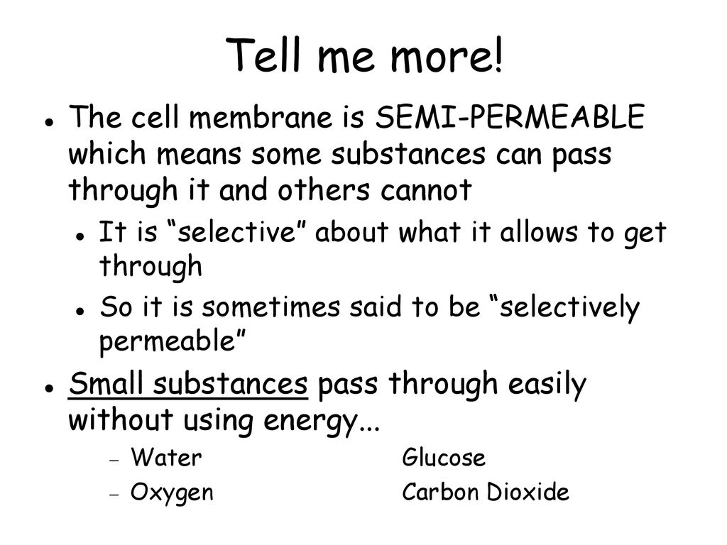 Tell me more! The cell membrane is SEMI-PERMEABLE which means some substances can pass through it and others cannot.