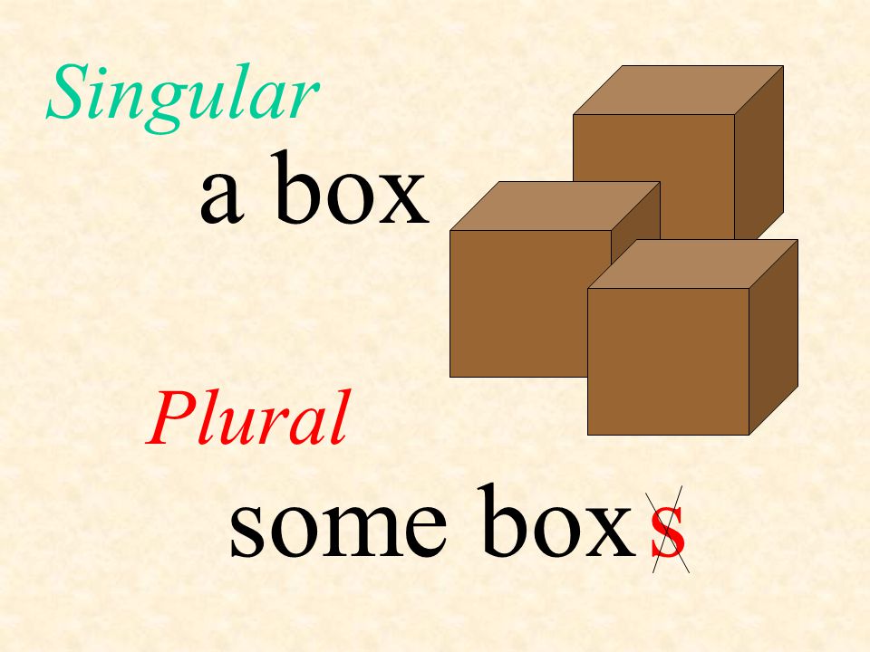 Singular a box Plural some box s