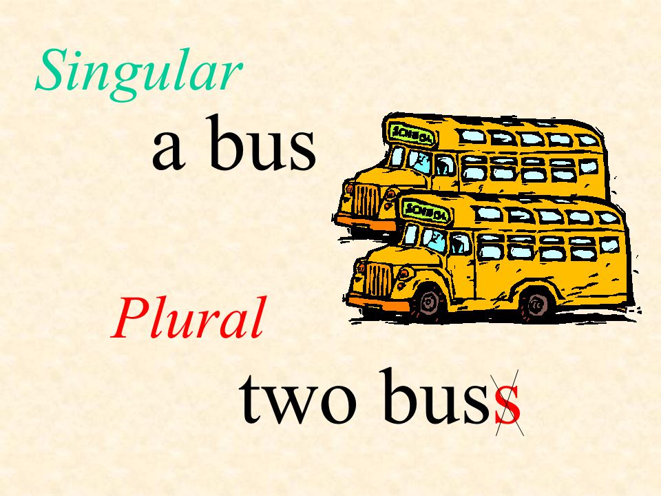 Singular a bus Plural two bus s