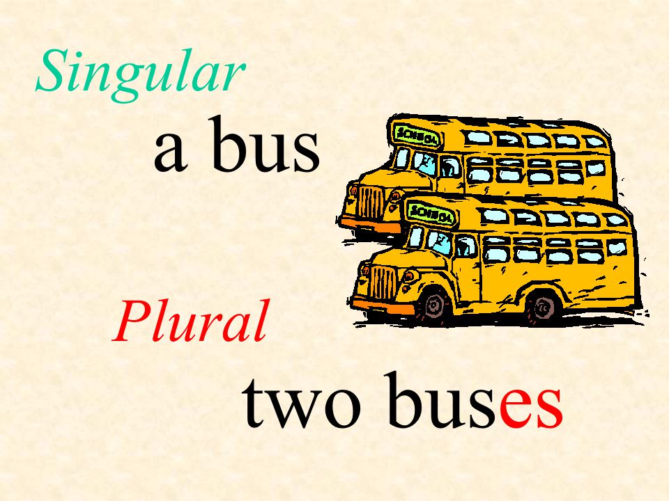 Singular a bus Plural two bus es