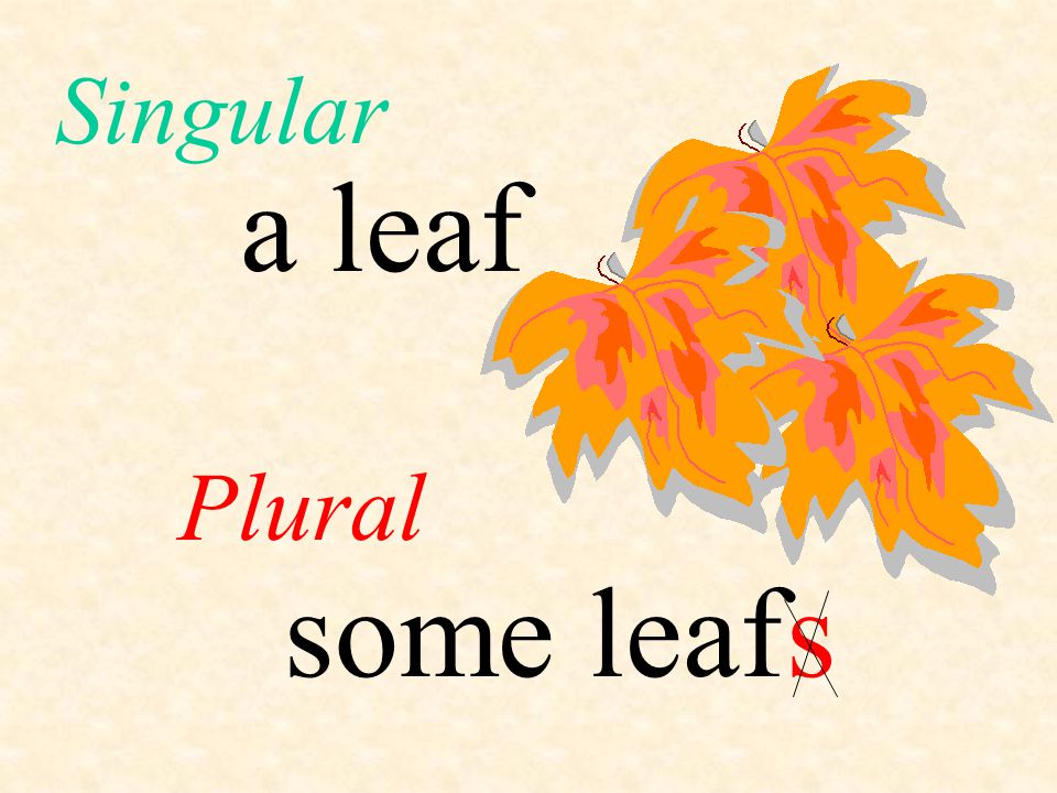 Singular a leaf Plural some leaf s