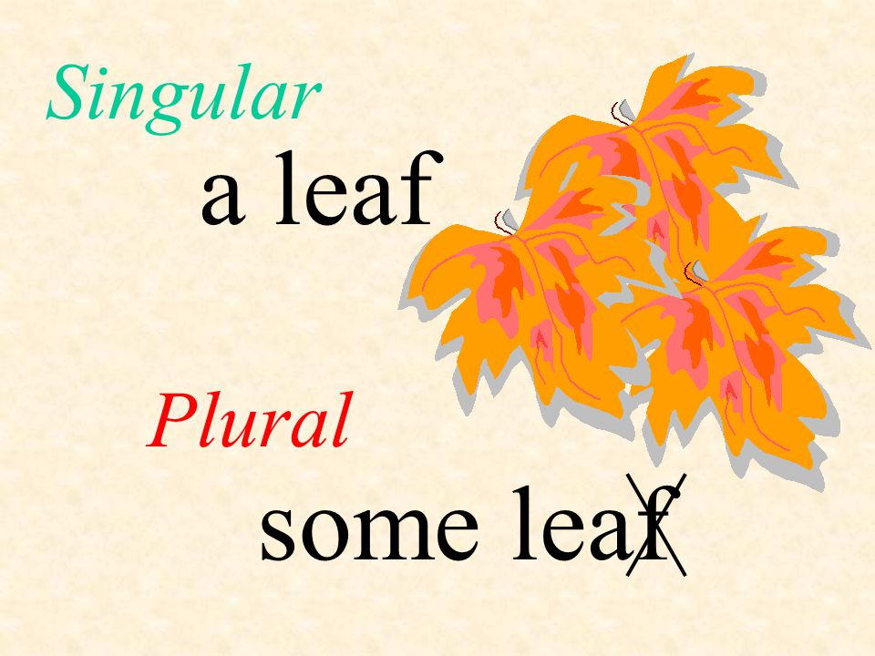 Singular a leaf Plural some leaf