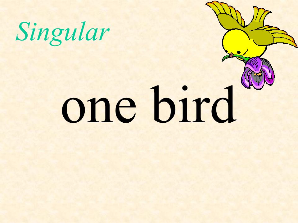 Singular one bird