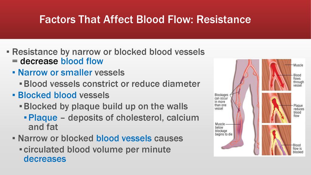 Factors That Affect Blood Flow: Resistance