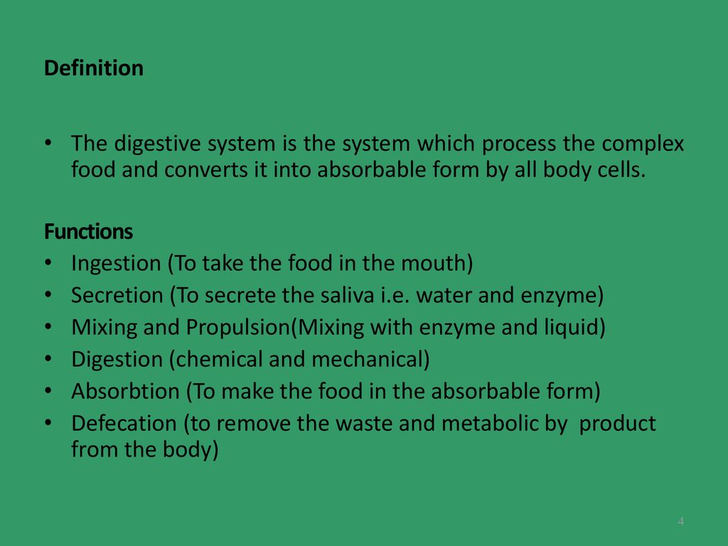 The Digestive System Ppt Download