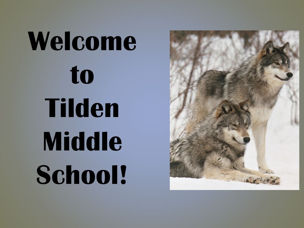 Welcome to Tilden Middle School! - ppt download