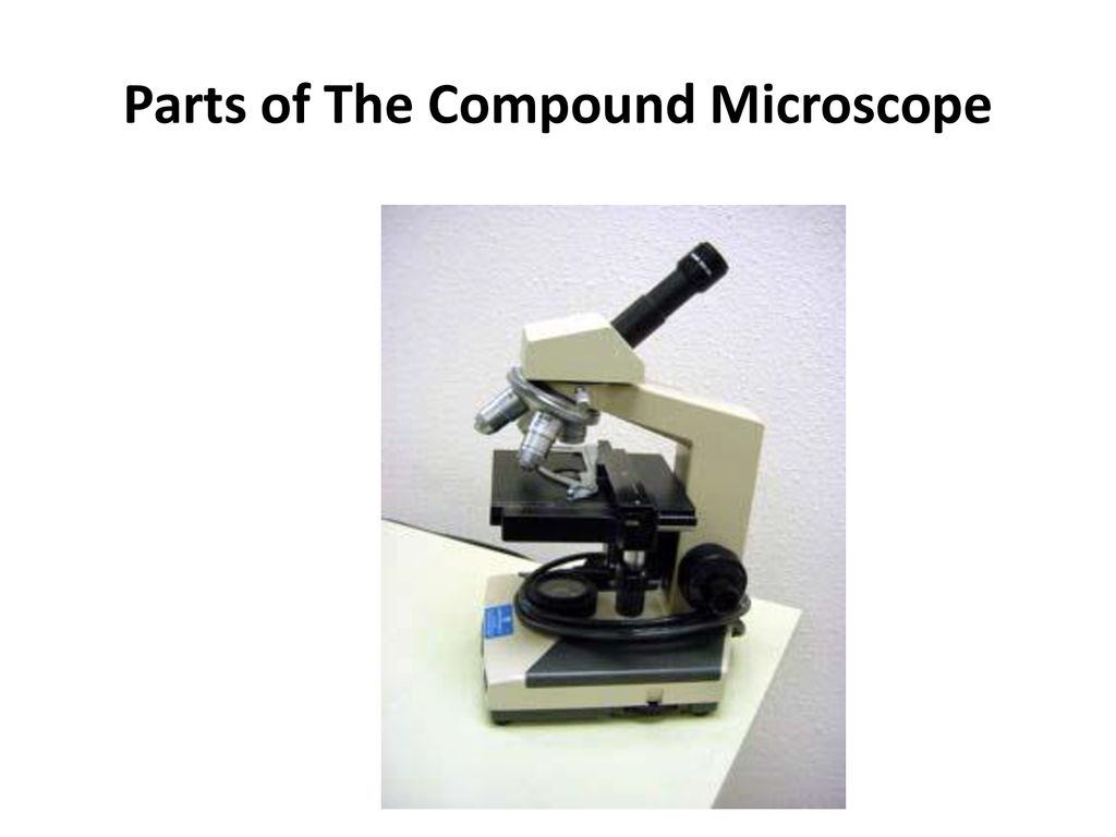 Standard: I.E. 1a CN-Microscope /27/13 - ppt download