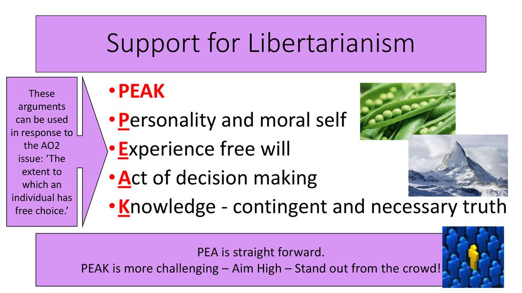 Support for Libertarianism