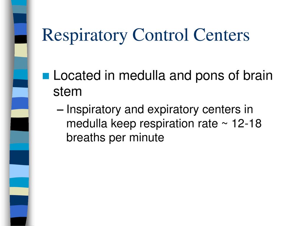 Respiratory System Anatomy & Physiology. - ppt download