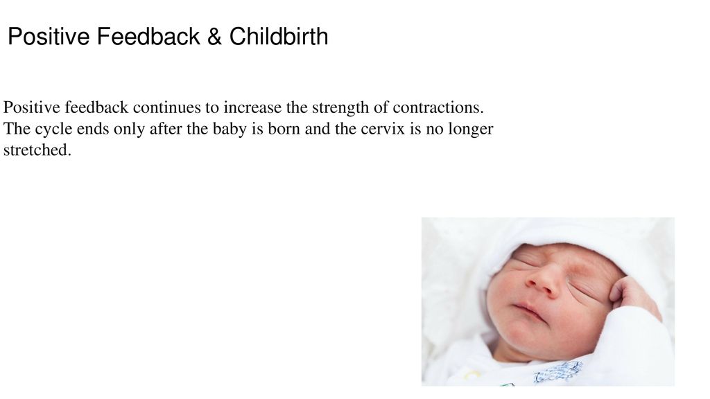 Positive Feedback & Childbirth