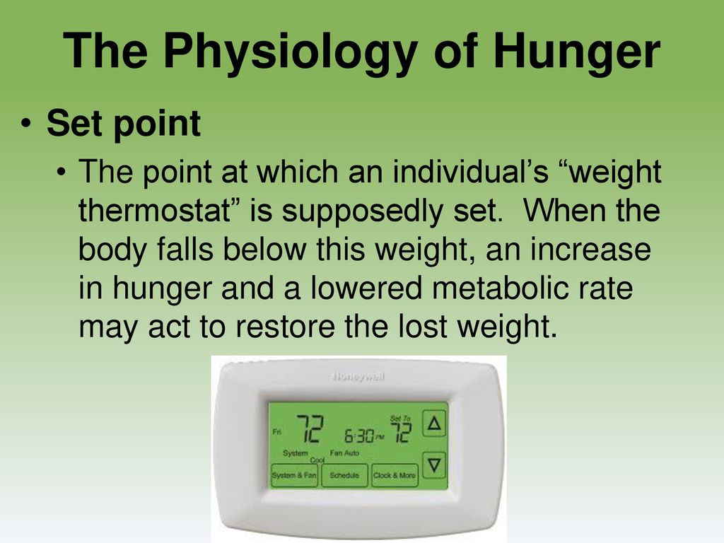 The Physiology of Hunger