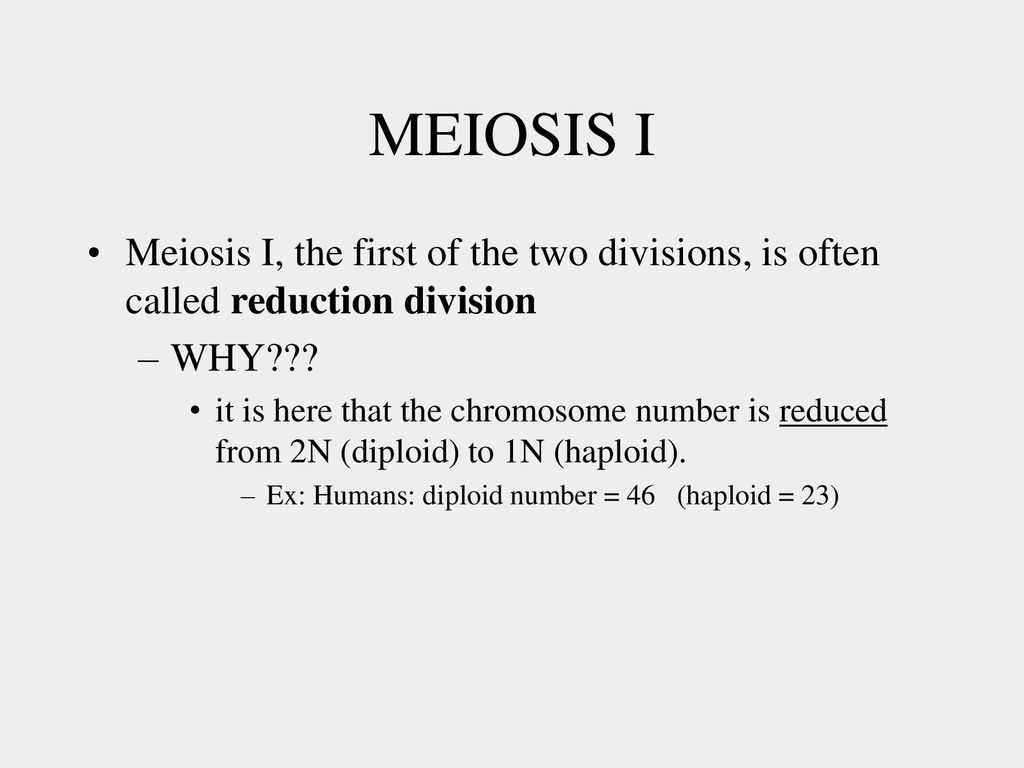 Vocabulary: Homologous Diploid Haploid Meiosis Tetrad Crossing Biology Diagrams