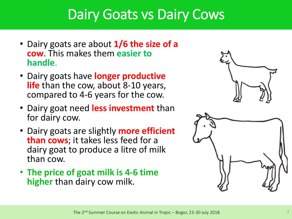 Feed Formulation and Feeding Management of Dairy Goat - ppt download