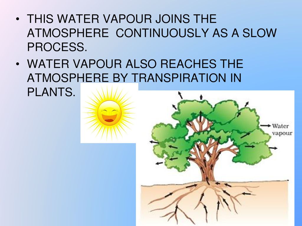 THIS WATER VAPOUR JOINS THE ATMOSPHERE CONTINUOUSLY AS A SLOW PROCESS.