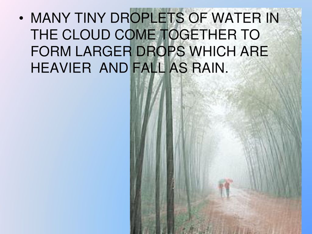 MANY TINY DROPLETS OF WATER IN THE CLOUD COME TOGETHER TO FORM LARGER DROPS WHICH ARE HEAVIER AND FALL AS RAIN.