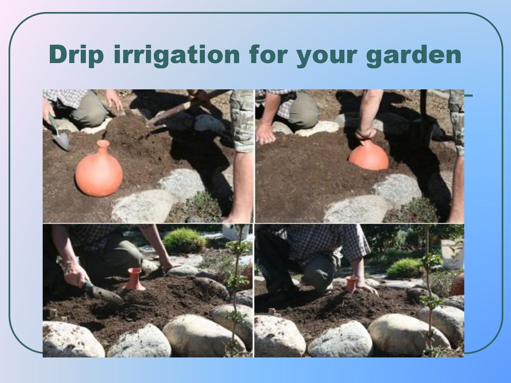 Drip irrigation for your garden
