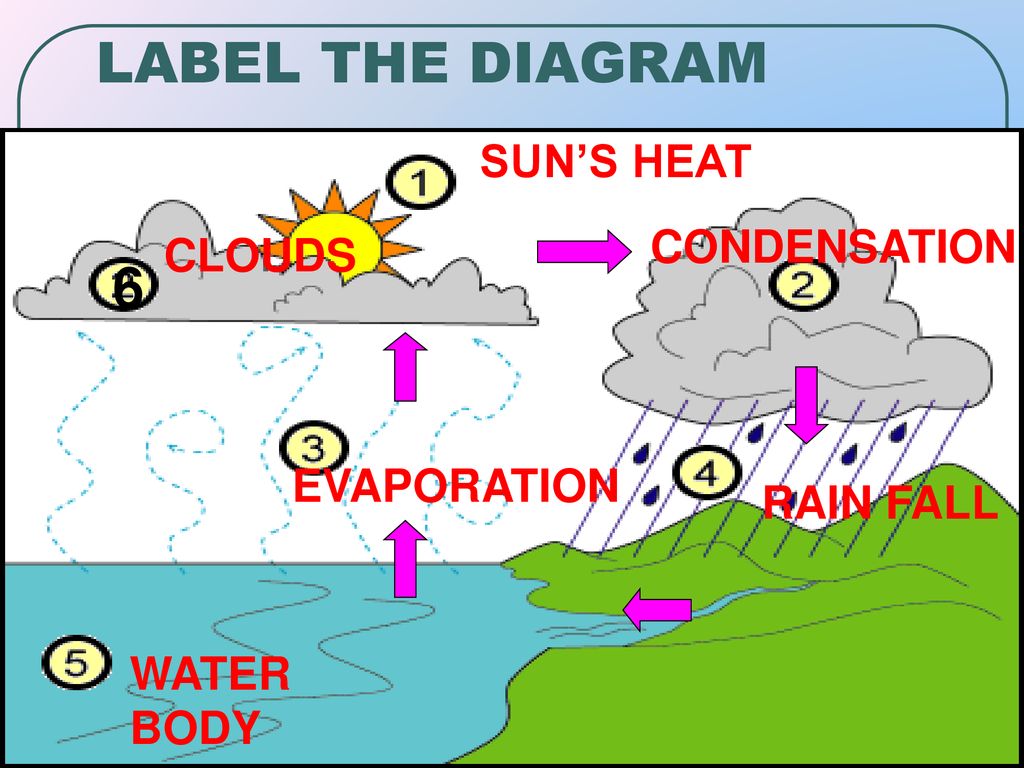LABEL THE DIAGRAM 6 SUN’S HEAT CONDENSATION CLOUDS EVAPORATION
