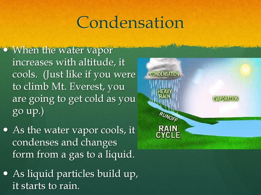 Water Cycle, Ground Water, and Surface Water - ppt download