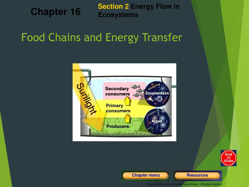 Levels of Organization Biology Diagrams