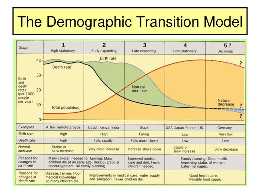 The Demographic Transition Model - ppt download
