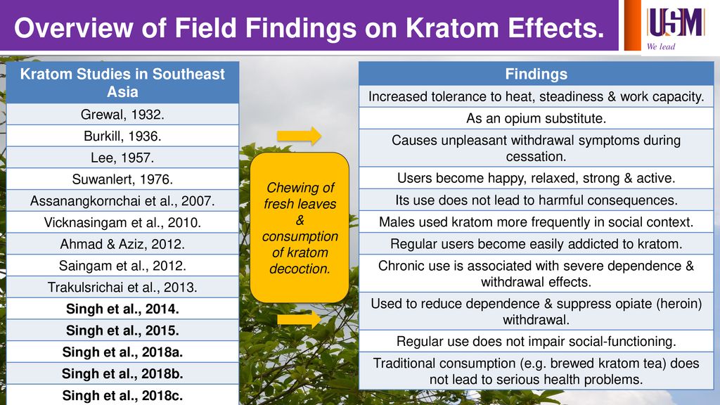 Pharmacology Of Ketum/Kratom - Ppt Download