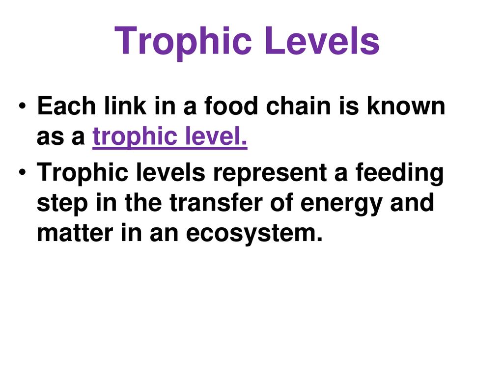 Predator Prey Lab Ms Sarfati Will Assign Groups Of 3 Or 4 Ppt Download predator-prey-lab-ms-sarfati-will-assign-groups-of-3-or-4-ppt-download