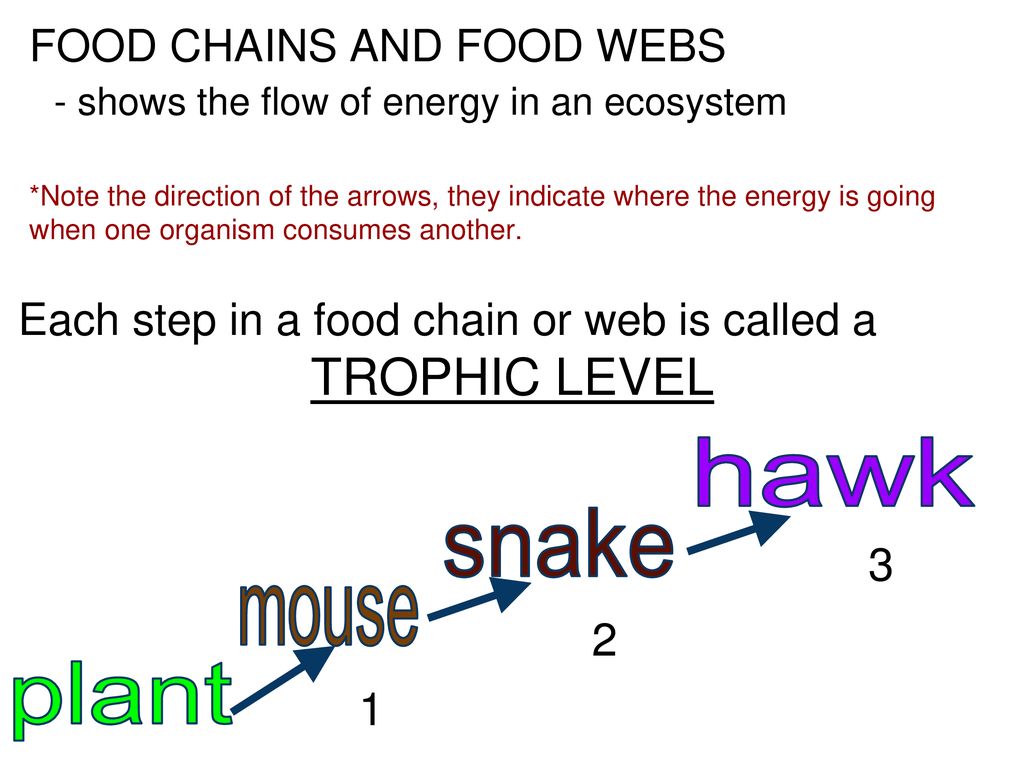 ~Encyclopedia Of Earth - Ppt Download