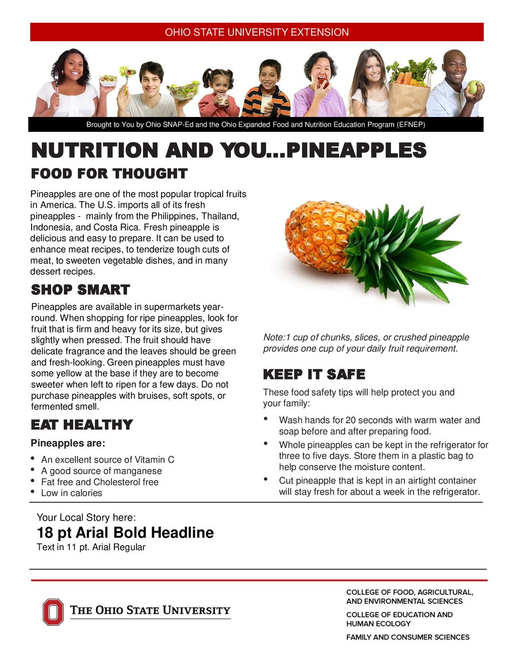 OHIO STATE UNIVERSITY EXTENSION Ppt Download ohio-state-university-extension-ppt-download
