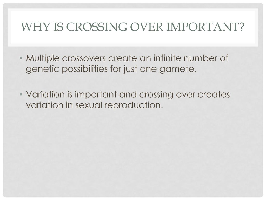 Reducing The Chromosome Number Ppt Download reducing-the-chromosome-number-ppt-download