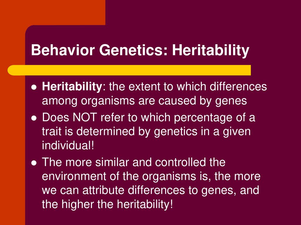 The Biological Bases Of Behavior (Chapters 2 And 4) - Ppt Download