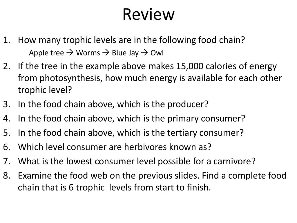 Energy and Ecology. Biology Diagrams