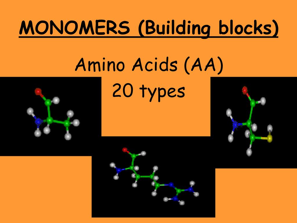 PROTEINS. ppt download