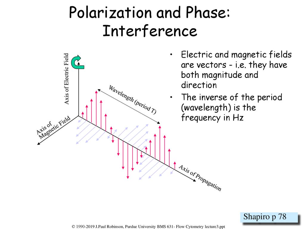 Polarization and Phase: Interference