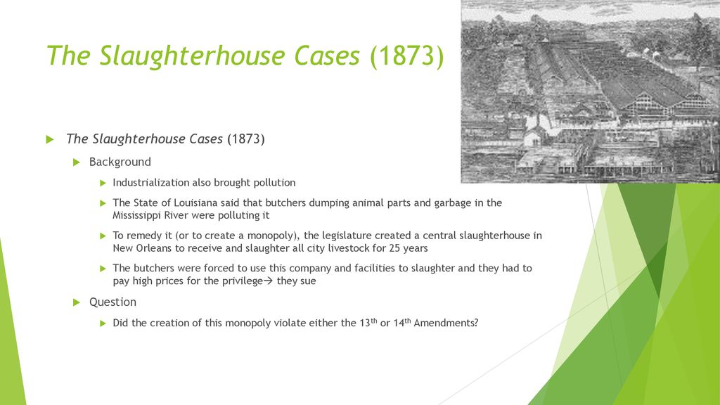 Lecture 42 Economic Substantive Due Process ppt download