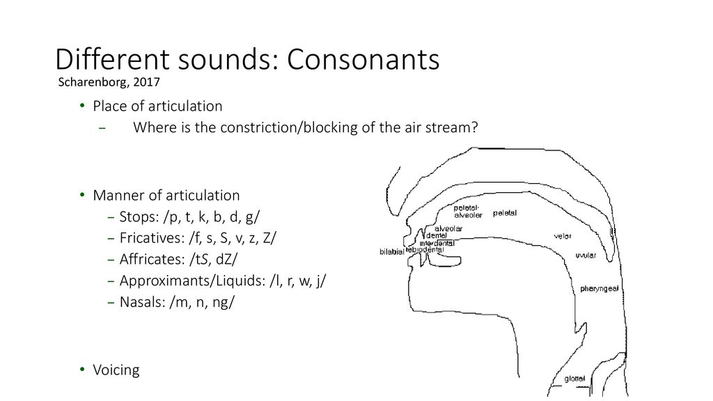 Mark Hasegawa Johnson 10 2 Ppt Download