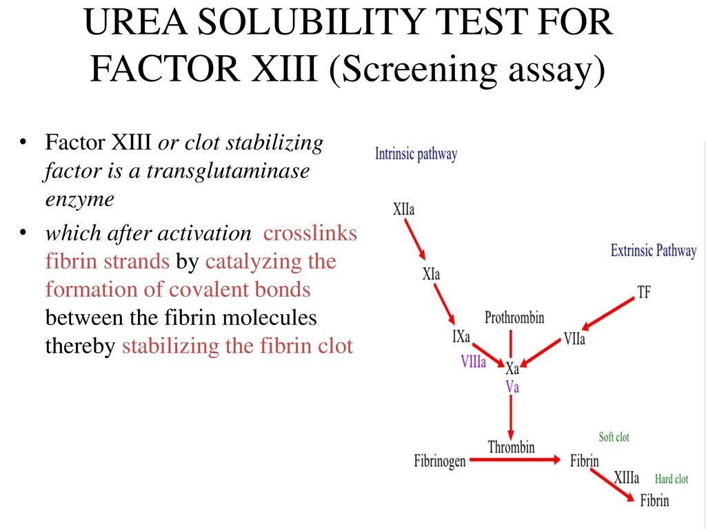 UREA SOLUBILITY TEST FOR FACTOR XIII (Screening assay)