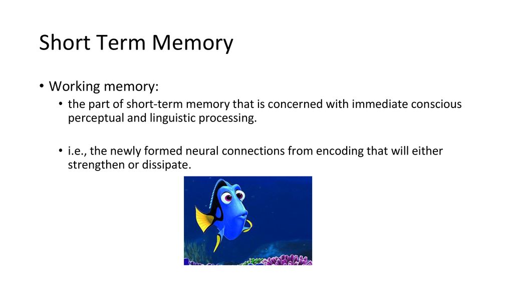 Unit 9 Memory Day ppt download