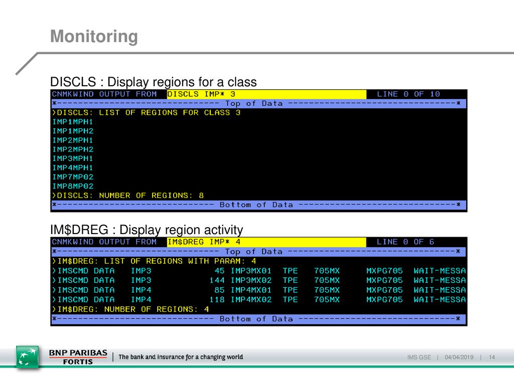 Monitoring DISCLS : Display regions for a class IM$DREG : Display region activity | 04/04/2019 |