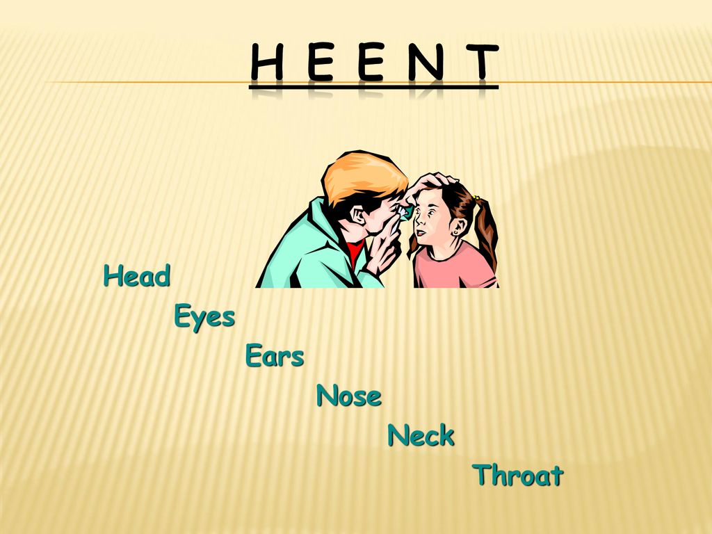 H E E N T Head Eyes Ears Nose Neck Throat